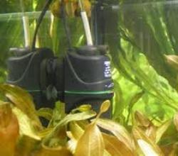 Фильтры для аквариума: виды фильтрации, какой выбрать, фото-видео обзор